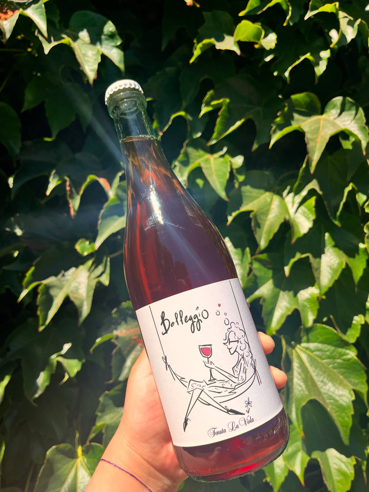 August 8 | SIENA IMPORTS | Exclusive Wine Tasting Event! Hu